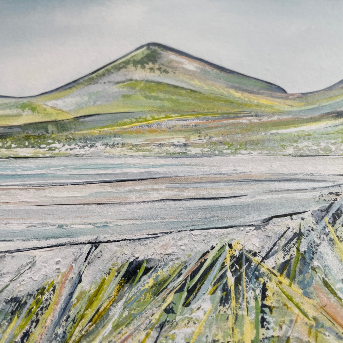 Mellow at Murlough Print